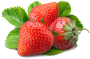 Fruits