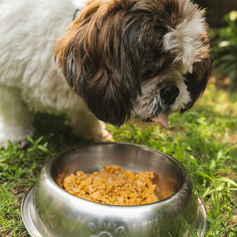 Chicken & Milk Kitten Bites (1kg)