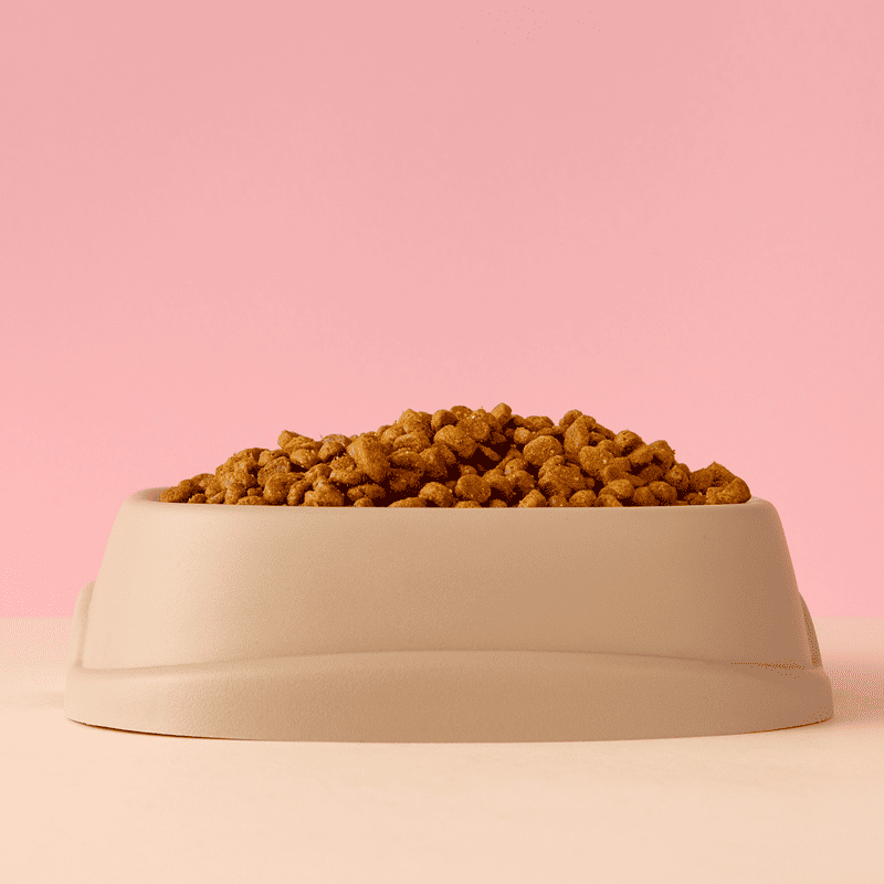 Premium Chicken Kibble (5kg)