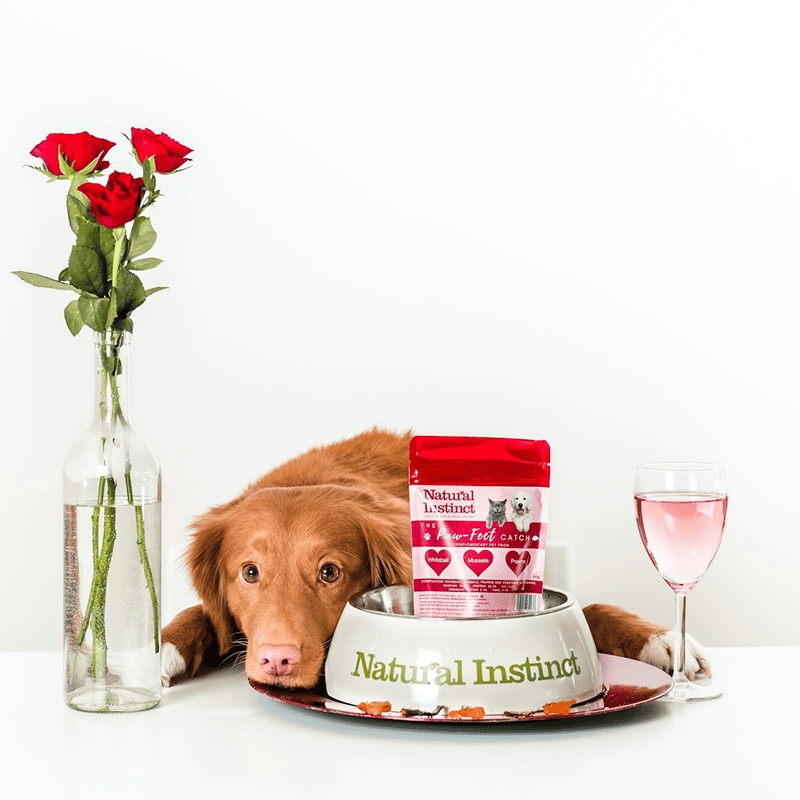 Grain-Free Salmon Recipe Dog Food