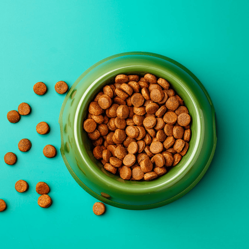 Premium Chicken Kibble (5kg)