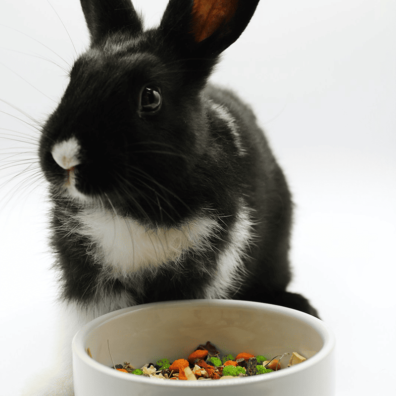 Natural Rabbit Pellets (2kg)